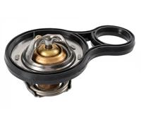 Ferdinand Bilstein Thermostat 47547 avec joint d'étanchéité