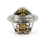 FAE Thermostat d'eau 5205089