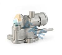 FAE 5350392 Thermostat d'eau