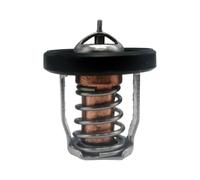 Thermostat 60 adapté for S DF8A 9 9 15 20 25 30A 17670-94J01 17670-94J00 17670-94J02