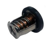Thermostat 60° for DF8A 9.9 15 20 25 30A 17670-94J00 17670-94J02
