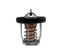 Thermostat 60 °, Remplacement des Moteurs DF8A 9.9 15 20 25 30A 17670-94J00 17670-94J02