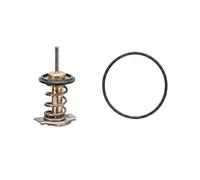 Thermostat 7.7951 FACET pour FIAT DUCATO Fourgon DUCATO Autobus/Autocar