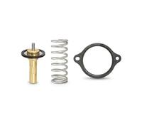 Thermostat d'eau FACET 7.7971