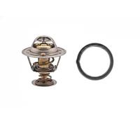 FACET 7.8415 Thermostat d'eau