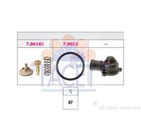 FACET 7.8617K Thermostat d'eau
