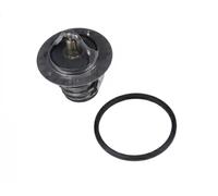 Blue Print Thermostat d'eau ADT39211