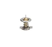 Thermostat d'eau THERMOTEC D2M002TT