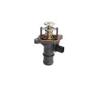 Thermostat d'eau THERMOTEC D2T005TT