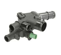 Thermostat d'eau THERMOTEC D2W006TT