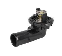 THERMOTEC D2Y005TT Thermostat d'eau