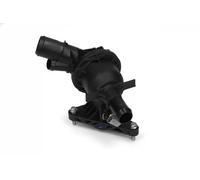 Thermostat d'eau ASHIKA 38-00-0331