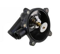 Thermostat d'eau NTY CTM-AU-031