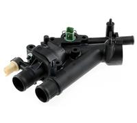 NTY CTM-CT-004 Thermostat d'eau