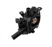 Thermostat d'eau NTY CTM-FT-033
