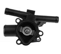 Thermostat d'eau NTY CTM-NS-002