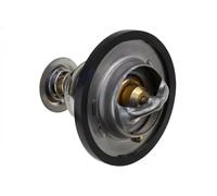 NTY CTM-WW-092 Thermostat d'eau