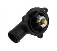 Thermostat d'eau NTY CTM-WW-127