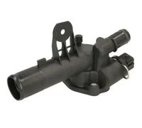 THERMOTEC D21001TT Thermostat d'eau