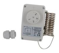 Thermostat d'ambiance étanche DIFF ERT -5/35° IP54 705402 G
