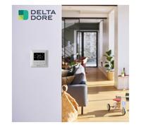 Thermostat de chauffage électrique intelligent Tybox Zigbee Blanc - Delta Dore 6151059