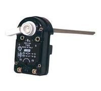 Thermostat chauffe-eau GENERIQUE Thermostat à canne TAS 450 monophasé - Thermostat à canne TAS 450 monophasé DIFF