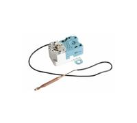 Thermostat de chauffe-eau a sonde L400mm, S 80°C bipolaire BBSB - : BBSB000507