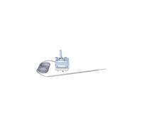 Thermostat de four catalyse tr-86 Rosieres 44000533