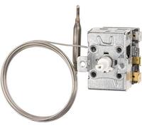 Jumo 60003223 Disjoncteur thermique