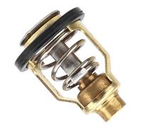 Thermostat de Moteur Hors-Bord, Composants du Moteur - Thermostat de Rechange Compatible avec Moteur Hors-Bord F75 F80 F90