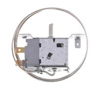 Thermostat De Réfrigérateur Congélateur WPF-20 À 2 Broches De 1200mm Avec Cordon Métallique