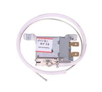 Thermostat De Réfrigérateur WP5B À 2 Broches, AC 250 V, 6 A, 50/60 Hz, Accessoires For Réfrigérateur, Cordon Métallique De 50 Cm