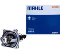 MAHLE ORIGINAL TM 55 105 Thermostat d'eau