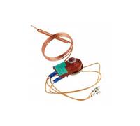 Thermostat de sécurité avec câble pour DTG S 200