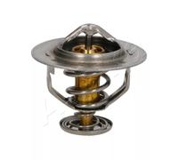 Thermostat d'eau ASHIKA 38-02-206
