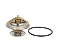 Thermostat d'eau BorgWarner (Wahler) 4078.65D