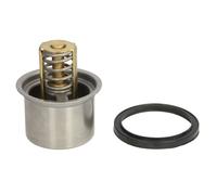 Thermostat d'eau BorgWarner (Wahler) 4619.75