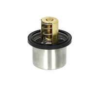 Thermostat d'eau WAHLER 4619.82