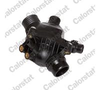 Thermostat d'eau CALORSTAT BY VERNET TE6984.97J