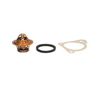 Thermostat d'eau CALORSTAT BY VERNET TH3319.88J