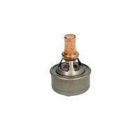 Thermostat d'eau CALORSTAT BY VERNET TH4495.83