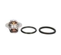 Thermostat d'eau CALORSTAT BY VERNET TH6318.89J