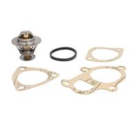 Thermostat d'eau CALORSTAT BY VERNET TH6319.82J