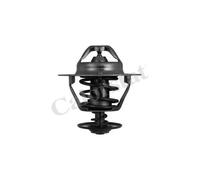 Thermostat d'eau CALORSTAT BY VERNET TH6319.85J