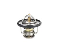 Thermostat d'eau CALORSTAT BY VERNET TH6587.87J