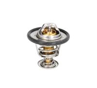 Thermostat d'eau CALORSTAT BY VERNET TH6948.82J
