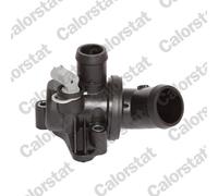 Thermostat d'eau CALORSTAT BY VERNET TH6991.87J