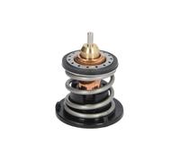 Thermostat d'eau CALORSTAT BY VERNET TH7265.80