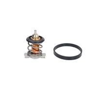 Thermostat d'eau CALORSTAT BY VERNET TH9200.88J