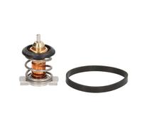 Thermostat d'eau CALORSTAT BY VERNET TH9241.88J